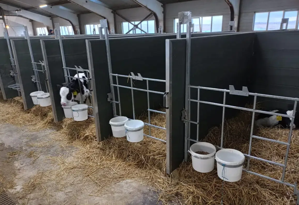 Боксы из ПВХ панелей