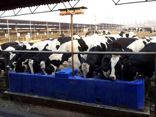 Пластиковые поилки