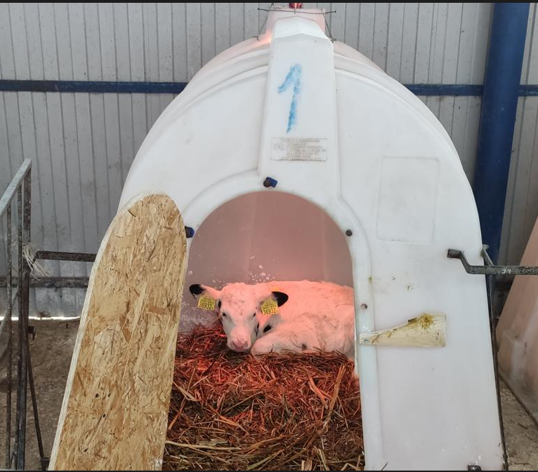 Лампы обогрева